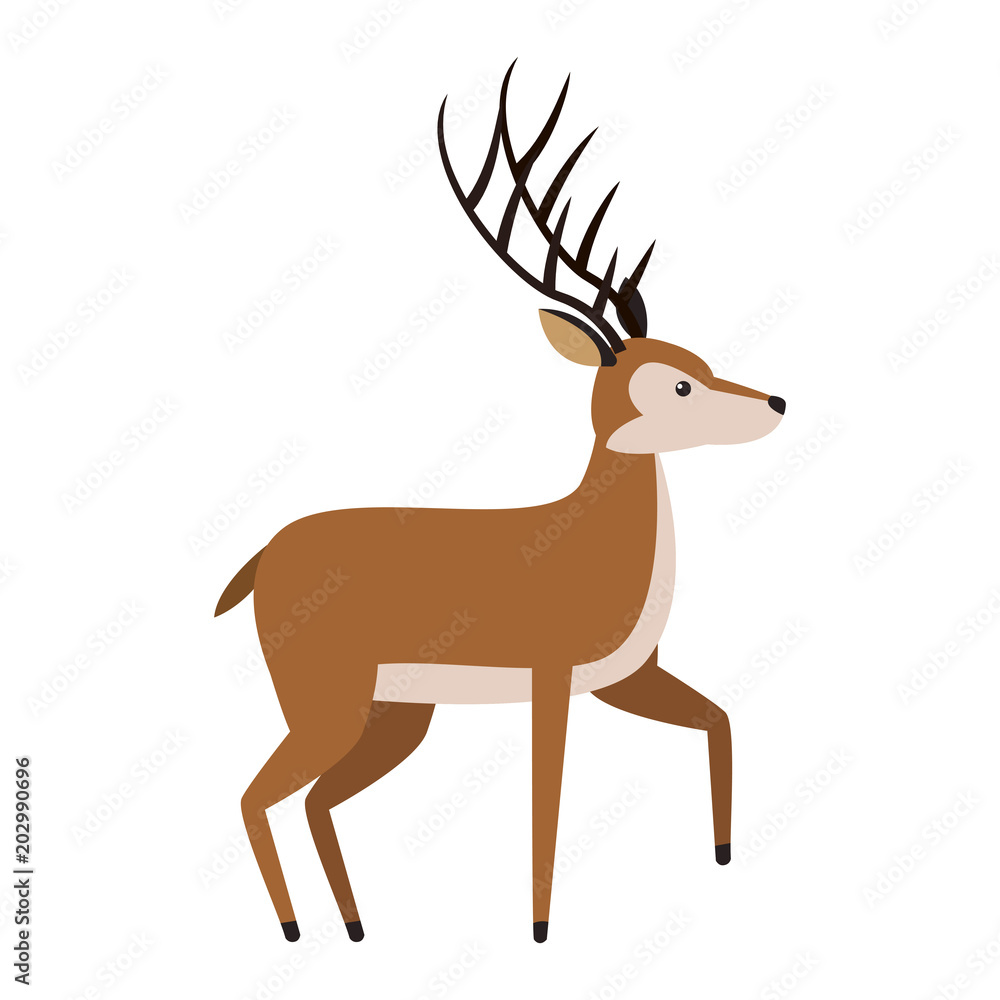 Deer wild animal vector illustration graphic design Deer wild animal vector illustration graphic design