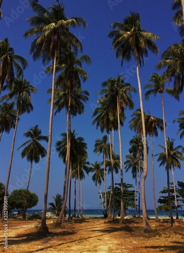 Praia Tailândia