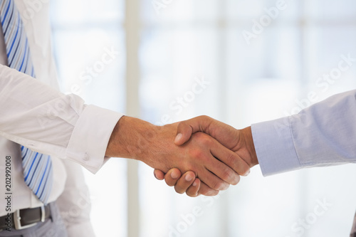 Close-up shot of a handshake in office