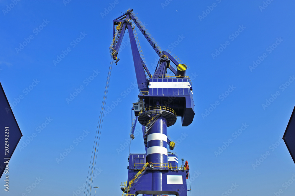 Port crane bridge and bulk carrier Port crane bridge and bulk carrier