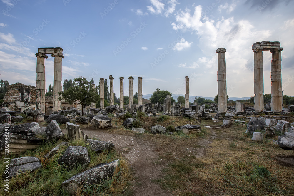 Afrodisias Ancient City Karacasu Aydin Turkey