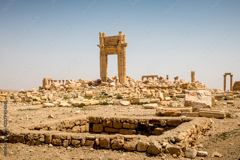 Palmyra today