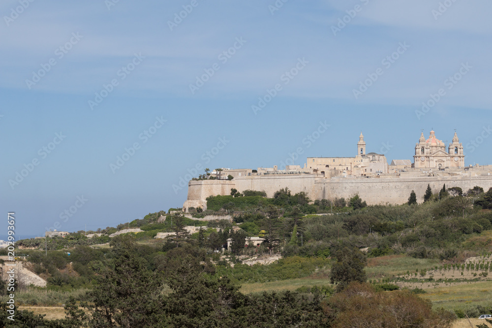 Ancient hilltop fortified capital city of Malta, The Silent City, Mdina or L-Imdina, skyline against blue Spring skies with huge walls, cathedral domes and towers, fields of spring flowers, April 2017