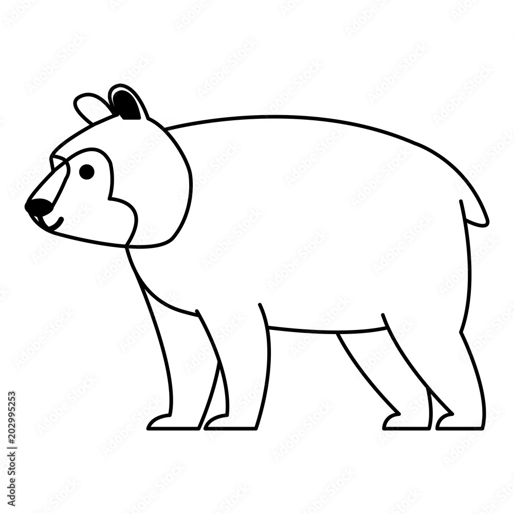 Bear wild animal vector illustration graphic design Bear wild animal vector illustration graphic design