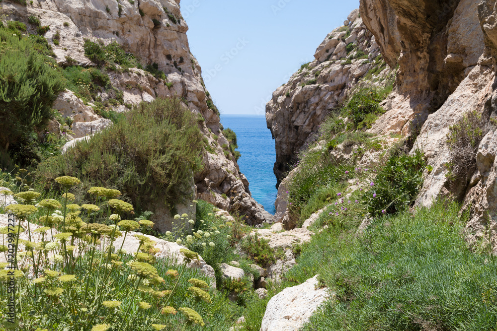 Wied Babu, at Wied iz-Zurrieq, green rocky valley, leading down to the azure turquoise water of the Blue Grotto, Zurrieq, Malta, May 2017