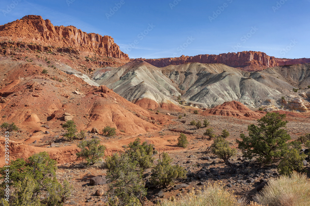 Capitol Reef National Park. Located in south-central Utah in the heart of red rock country,  this is a hidden treasure filled with cliffs, canyons, domes and bridges in the Waterpocket Fold.
