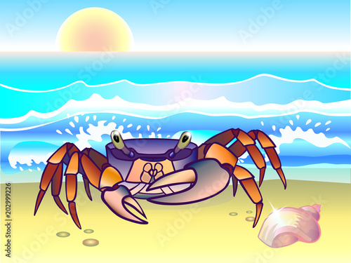 Crab. Rainbow crab on the seashore. Ocean. Seascape with crab and seashell.