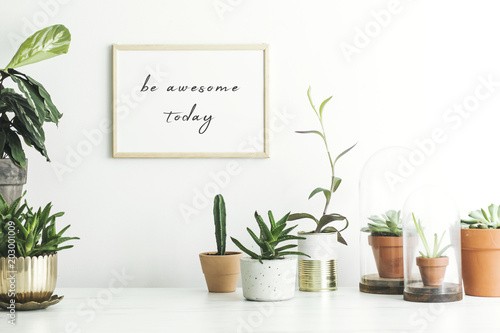 The stylish room filled with a lot of modern plants in different clay pots. Modern composition of home garden with mock up poster frame.