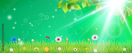 Hello spring. Spring Background. Spring design background with abstract beautiful colorful flower. Vector illustration. Spring Grass Beech Twigs Daisy Flowers Header.