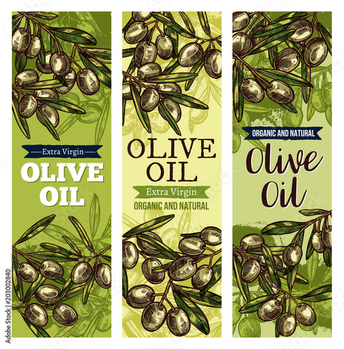 Olive oil label with green fruit and leaf sketch