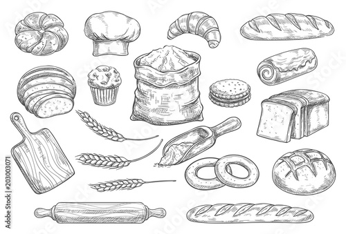 Bread and bun sketch of bakery and pastry food
