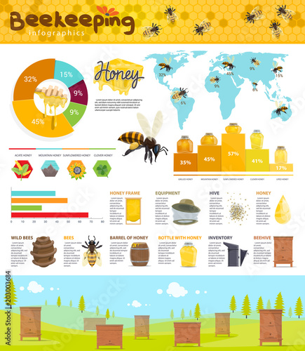 Beekeeping and honey production infographic