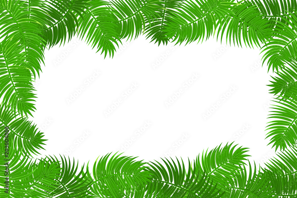 Web summer jungle frame banner. Green palm leaves template isolated white background. Vector abstract illustration. Realistic picture summer tropical Paradise mock up. Web summer jungle frame banner. Green palm leaves template isolated white background. Vector abstract illustration. Realistic picture summer tropical Paradise mock up.