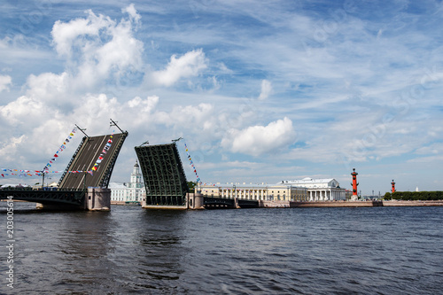 The view on the Strelka of Vasilievsky island and divorced Palace bridge. The historic center of St. Petersburg. Visible Rostral columns, the stock exchange building and the Kunstkammer Museum