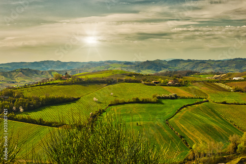 sunny day in spring countryside landscape