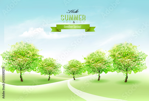 Nature summer countryside landscape background. Vector.