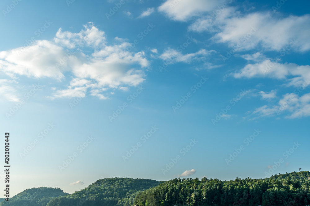 Late summer blue sky against cedar forested landscape