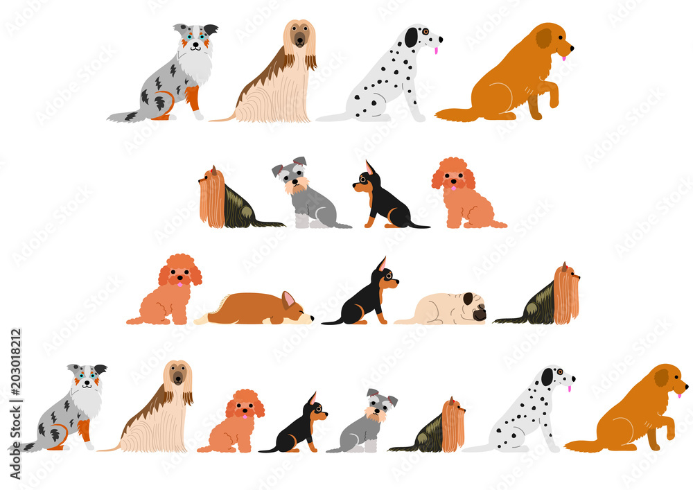 Plakat various dogs border set