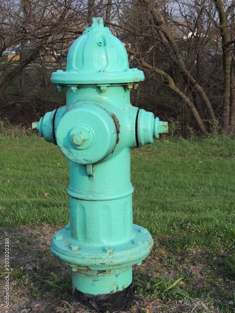 Turquoise Fire Hydrant Close Up in Indianapolis Indiana. Turquoise Fire Hydrant Close Up in Indianapolis Indiana.