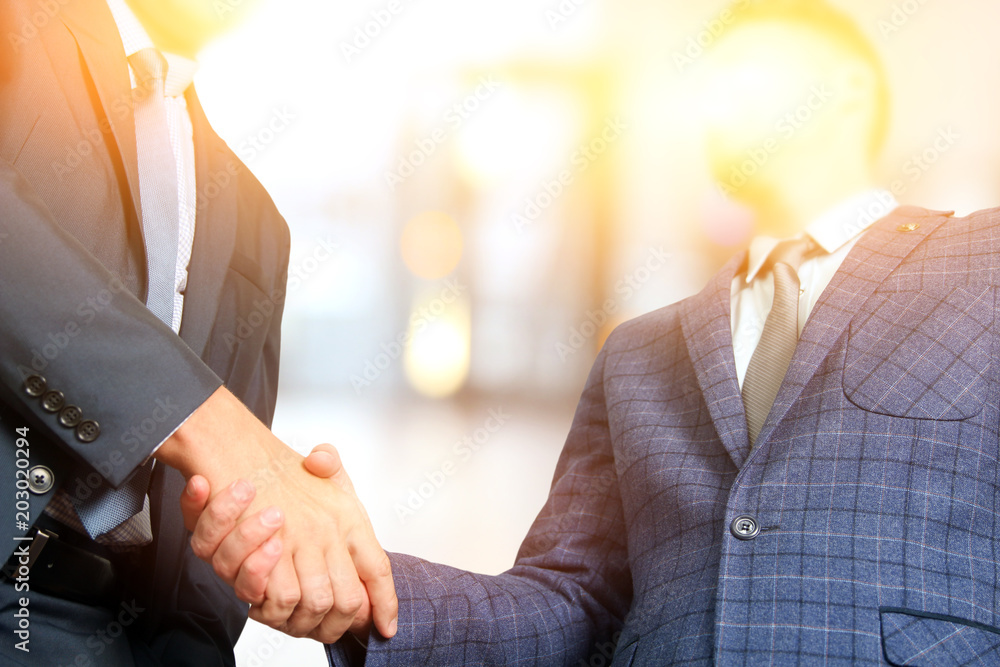 Successful business people shaking hands  at the meeting