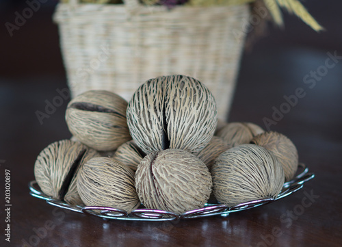 dried betel on wood photo