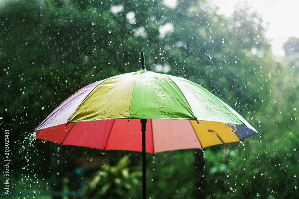 rain drop falling onto colorful umbrella  and green background