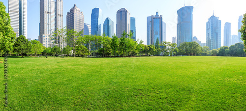 Canvas Print city park with modern commercial building background in shanghai