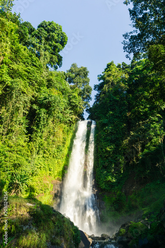 Waterfall in Bali  Indonesia