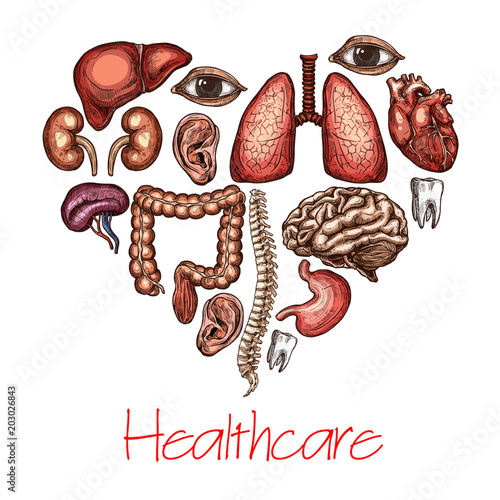 Heart health symbol composed of human organ sketch