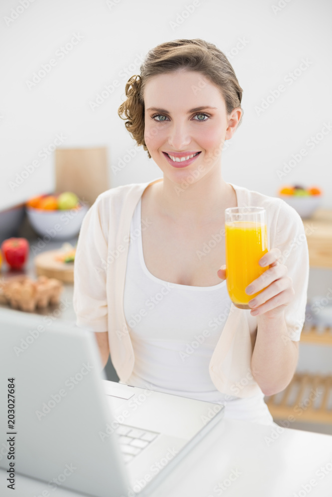 Lovely woman sitting in front of her laptop in her kitchen while holding a glass of orange juice Lovely woman sitting in front of her laptop in her kitchen while holding a glass of orange juice