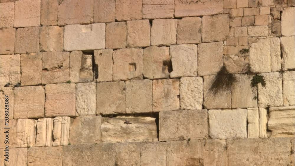 Zoom-out from stonework to visitors gathered at Jerusalem's Western Wall Zoom-out from stonework to visitors gathered at Jerusalem's Western Wall