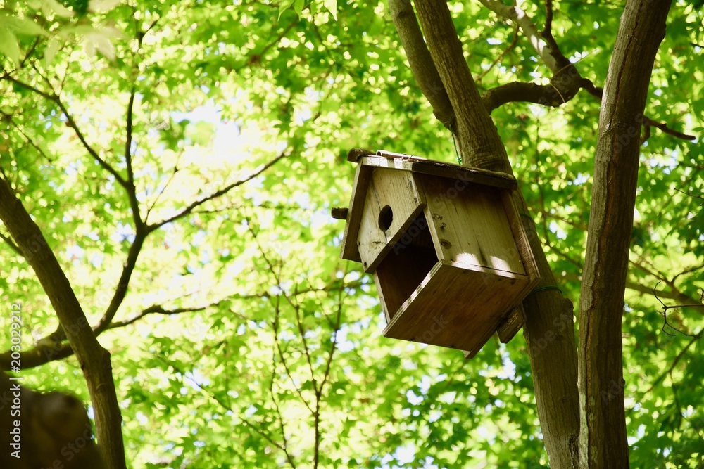 鳥の巣箱 鳥の巣箱