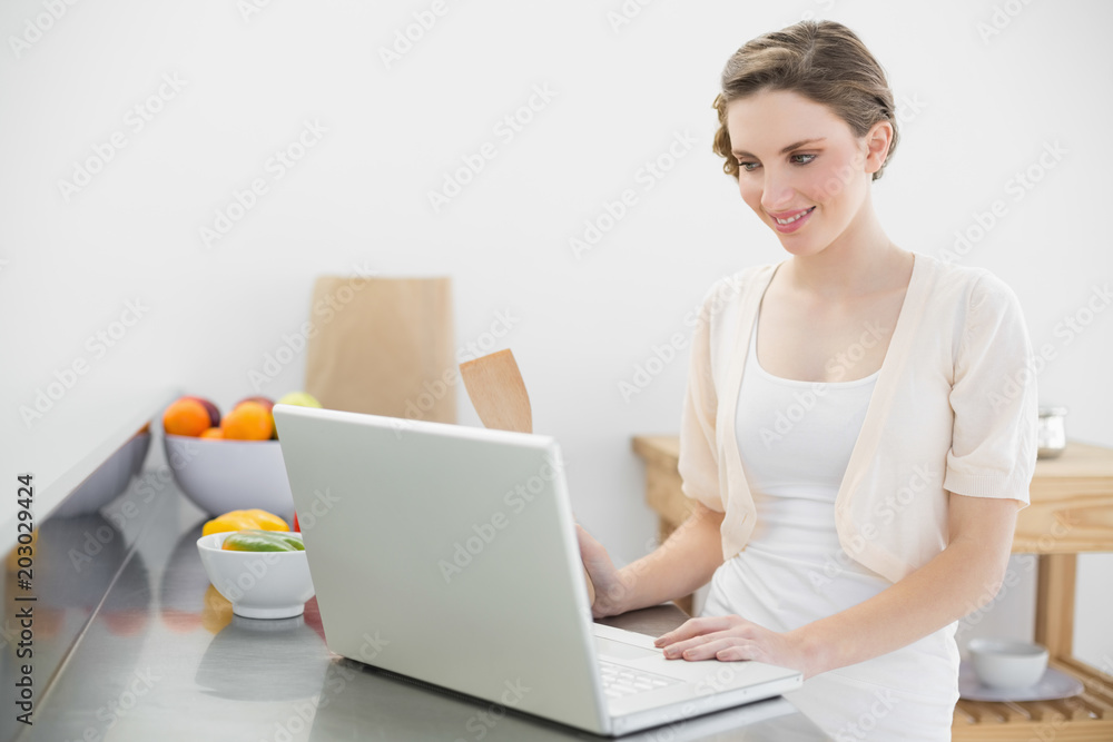 Smiling pretty woman working with her notebook while standing in her kitchen Smiling pretty woman working with her notebook while standing in her kitchen