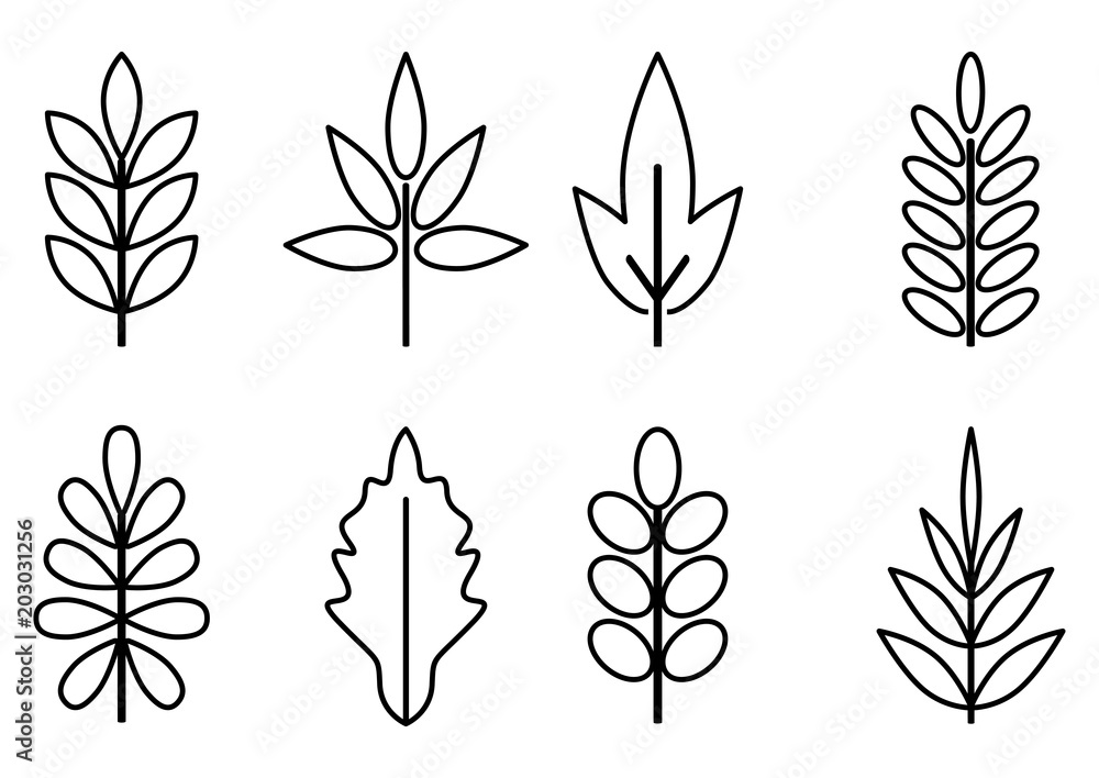 leaves line leaves line
