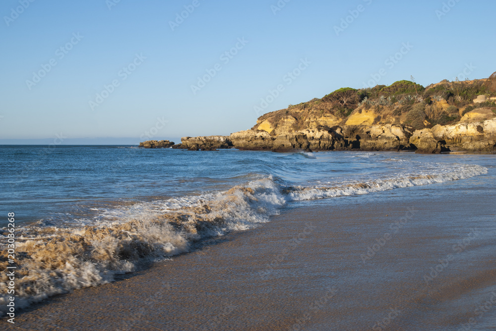 Sea waves on a beach ocean background in sunny day