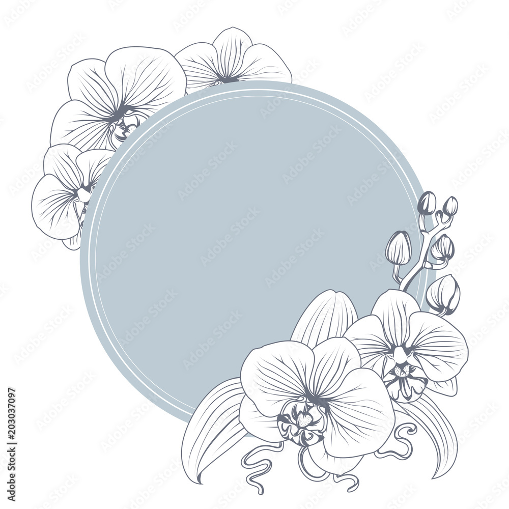 Orchid phalaenopsis flower branch bouquet contour outline. Black and white line art illustration. Blue teal circle ring floral decorated wreath. Vector design illustration. - obrazy, fototapety, plakaty 