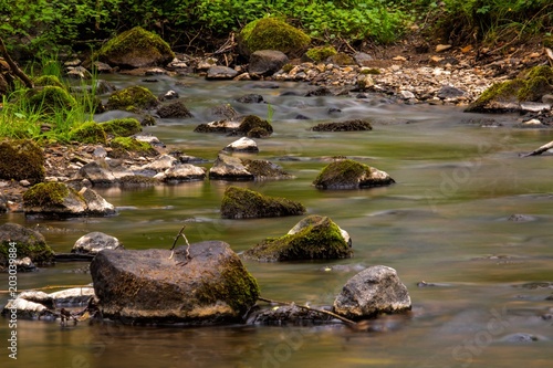 Stream in the woods