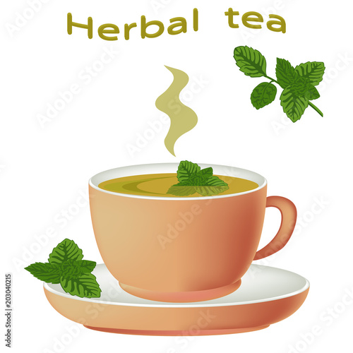 Herbal tea in a porcelain cup. Green Tea with mint or melissa. Cup of hot herbal tea with isolated on white background. Vector illustration.