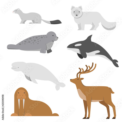 Northern and arctic animals. Vector illustrations in flat style