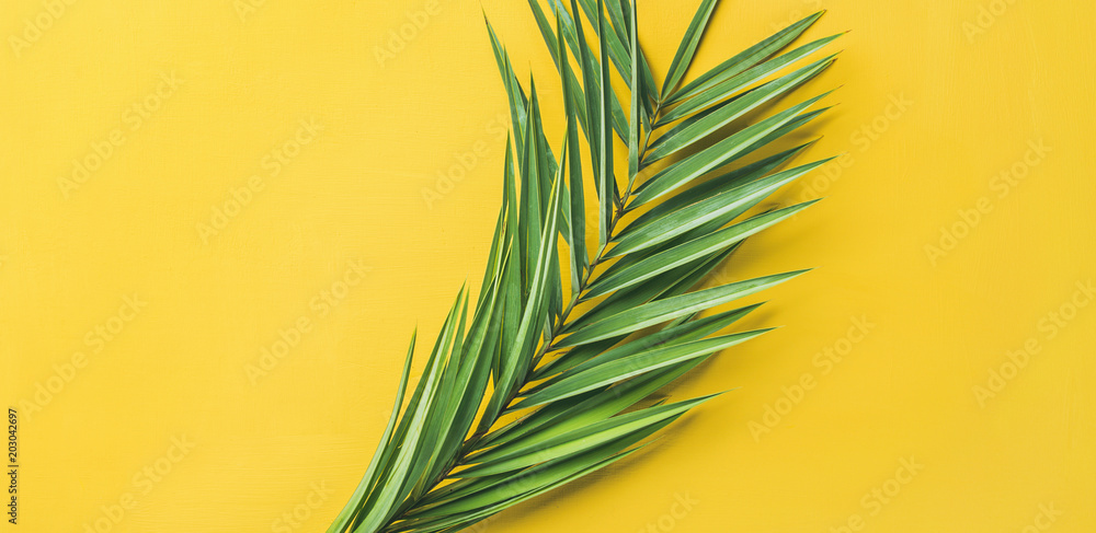 Obraz premium Green palm branches over yellow background, top view, wide composition. Summer vacation or travel concept