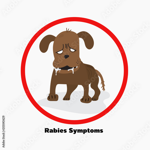rabies dog