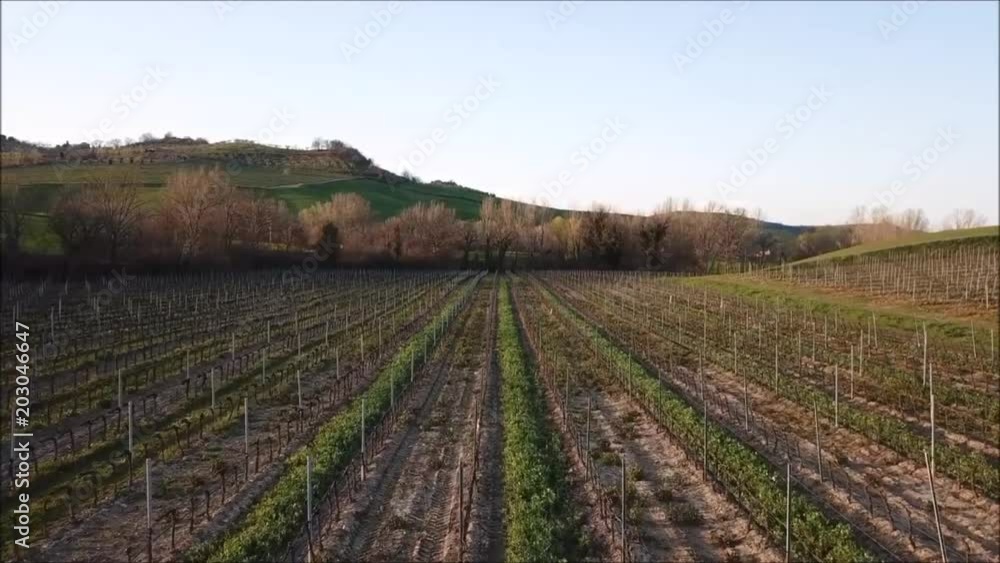 Vigna Vigna