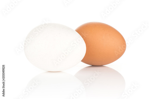 Two white chicken eggs isolated on white background one white and brown collection.