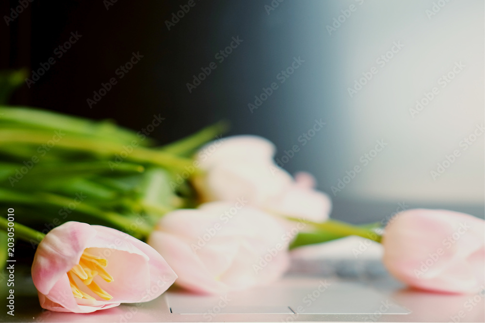 Bouquet of pink tulips on laptop, Happy mother's day.