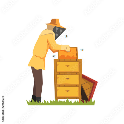 Beekeeper in a protective suit working on apiary, honey production process vector Illustration on a white background