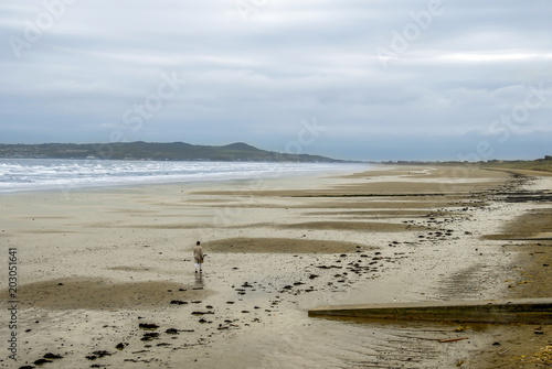 Photography Dublin, Ireland, 25 October 2012: A Woman walking on Beach of Malahide