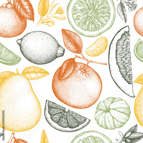 Vector seamless pattern with ink hand drawn citrus fruit, flowers, slice and leaves sketch. Vintage background with exotic plants.