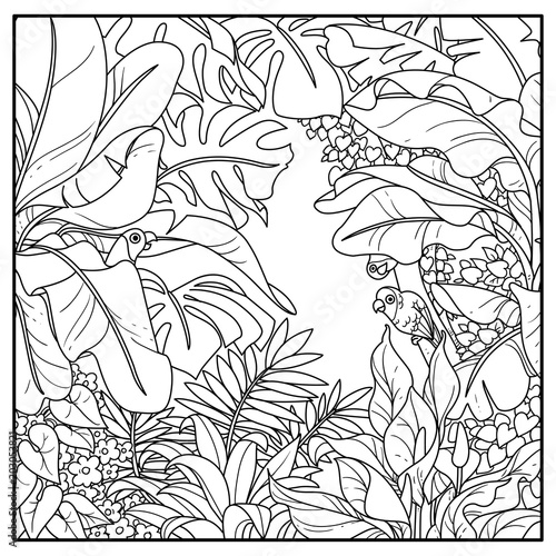 Wild jungle with parrots of the breed rosy-cheeked lovers black contour line drawing for coloring on a white background