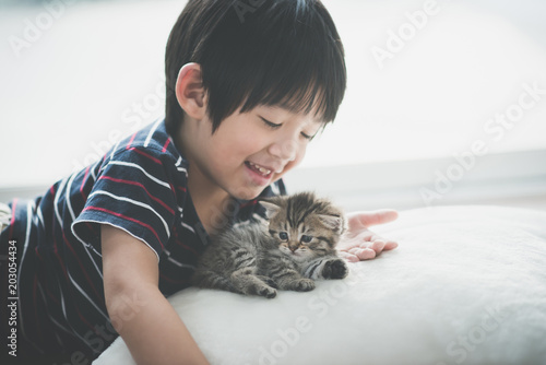 Cuadro en lienzo asian child playing with short hair kitten