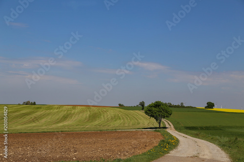 Spring landscape with fields and meadows